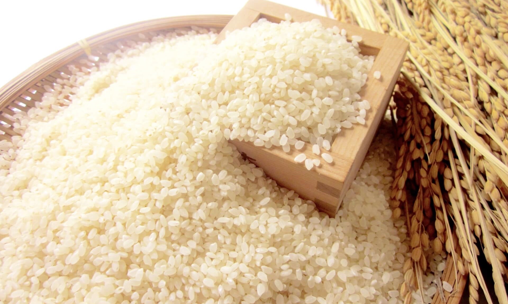 お米の画像